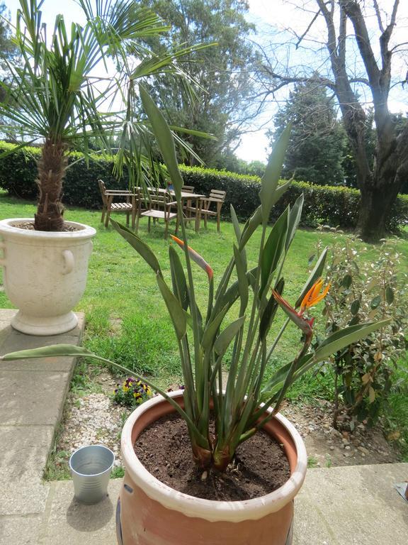 B&B Mas Les Lecques Beaucaire  Exterior foto